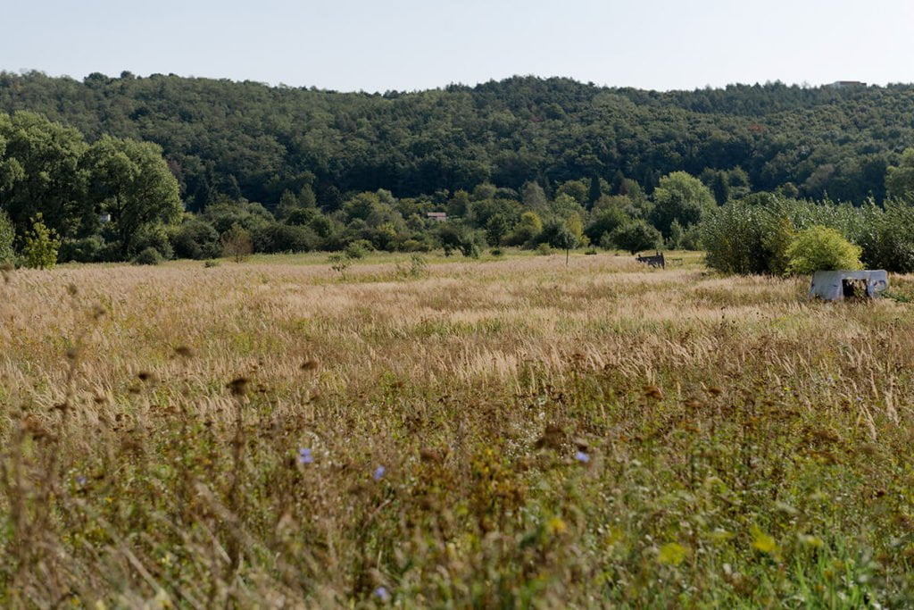 Zeleň pri Agátoch