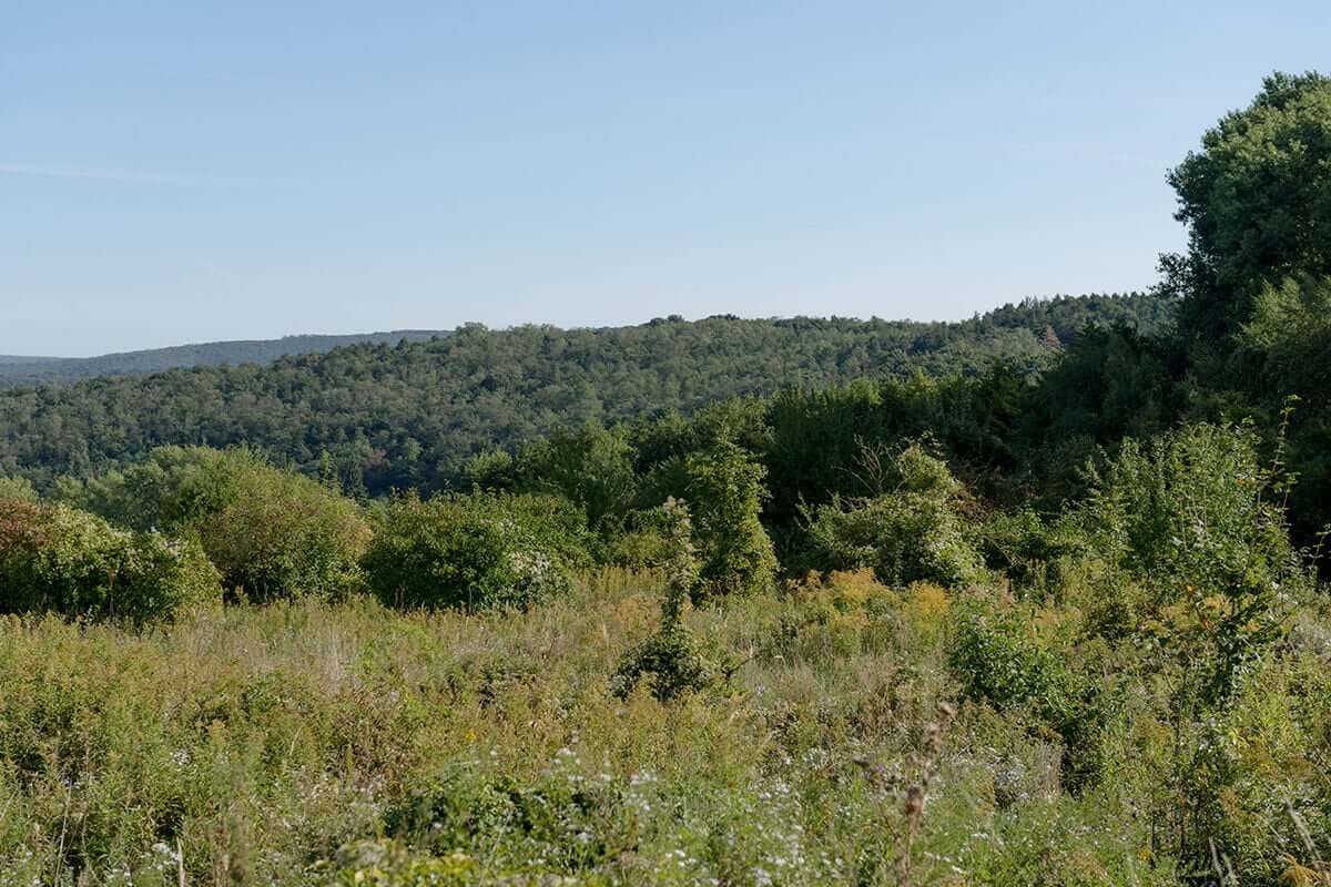 pohlad na prirodu v chko male karpaty